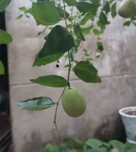 店主已过法考,可以帮咨询有关的法考题。 感...