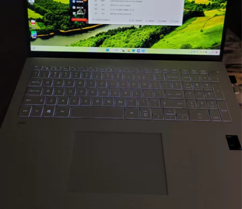 LG GRAM 17 i7-11国行202...