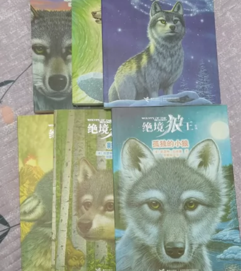 出闲置书籍 全新,买了从来没看过,想看细节...