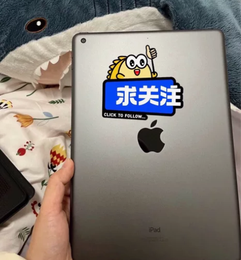 女生一手ipad.2020款,第八代 10...