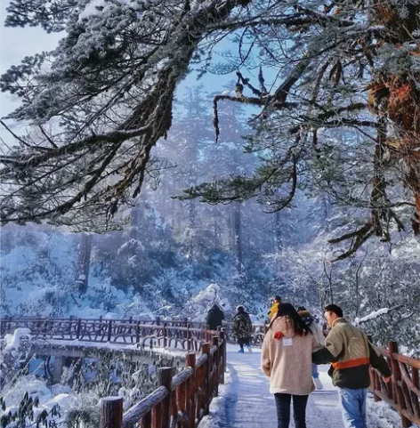 瓦屋山套票 特惠票：238元，仅限自驾游门...