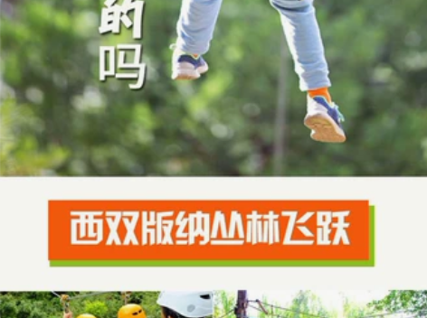 西双版纳原始森林公园丛林飞跃A段套票,森林...