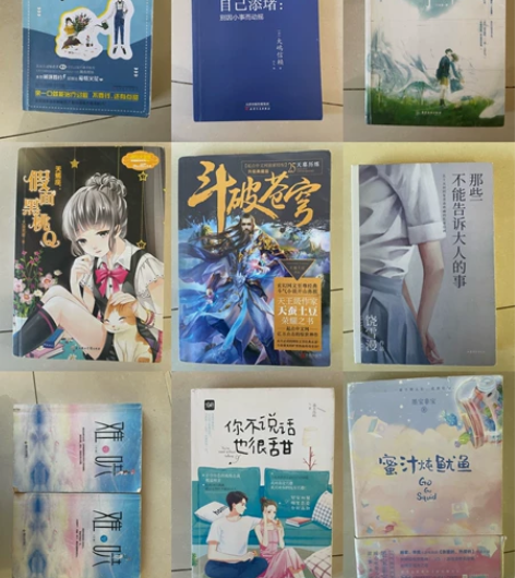 【旧书合集】打包优惠 单出25包邮 斗破苍...