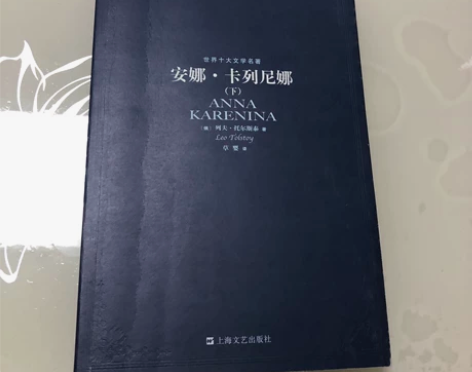 世界名著《安娜卡列尼娜》，只有下册。 感兴...
