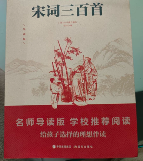 《宋词三百首》拆了塑封99新 无勾画，20...