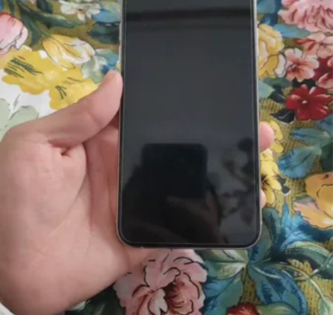自用iPhone 11 por Max(6...