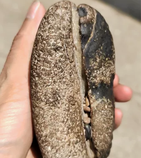 河边捡到的怪石 ，视频大概尺寸吧，不要问我...