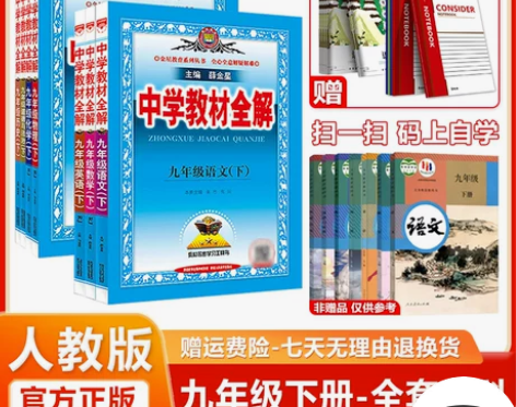 化学初中 初中化学科目任选中学教材全解九年...