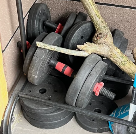 哑铃 运动器材 感兴趣的话点“我想要”和我...