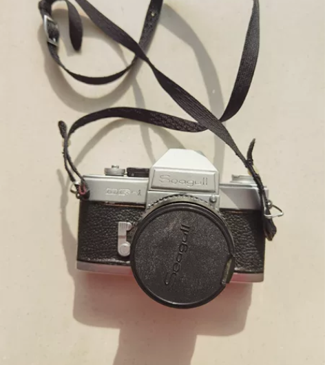 经典海鸥DF-1胶卷相机 感兴趣的话点“我...