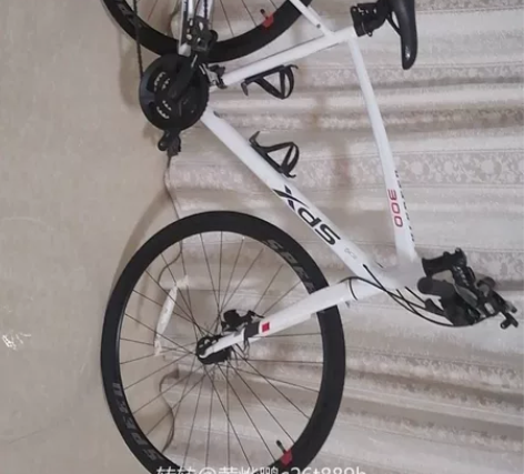 喜德盛（xds）极速300，蓝图变速，超轻...