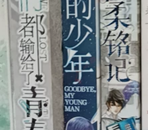 那些年我们读过的青春文学 最后我们都输给了...