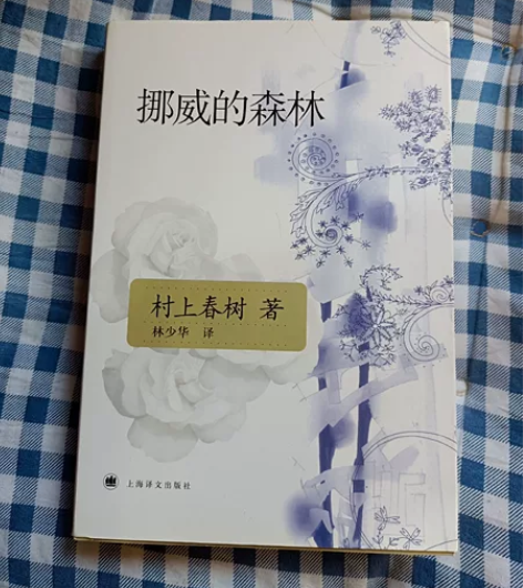 出树上春树的《挪威的森林》，买来只是翻了翻...