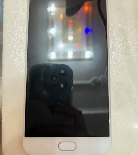 vivo x9 4+64g 玫瑰金色 家人...