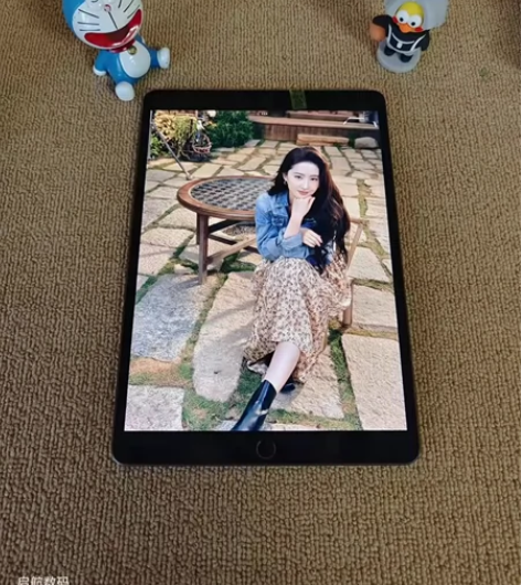 个人闲置2021款ipad9代256内存 ...