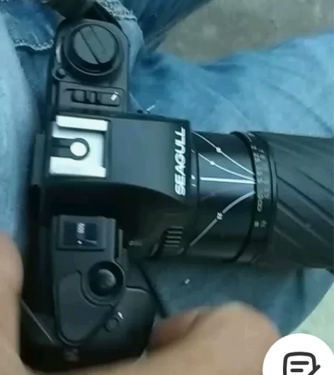 极品收藏海鸥套装相机，闪光灯，说明书，镜头...