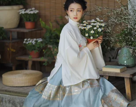 兰若庭 汉服 望水云鹤 明制 立领 补服 ...