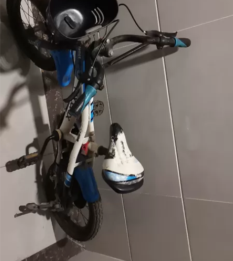 上海凤凰自行车,儿童。孩子大了。 感兴趣的...