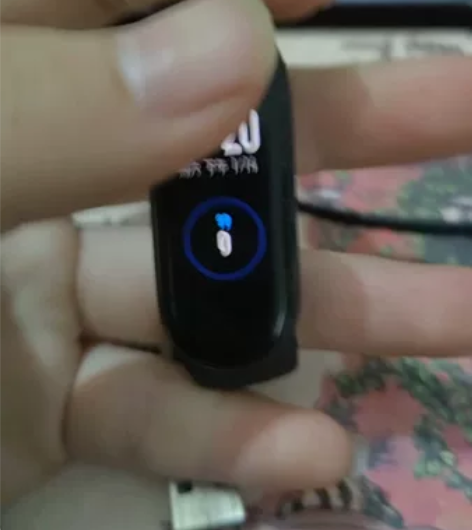 小米手环5标准版，有充电器，表带全新 感兴...