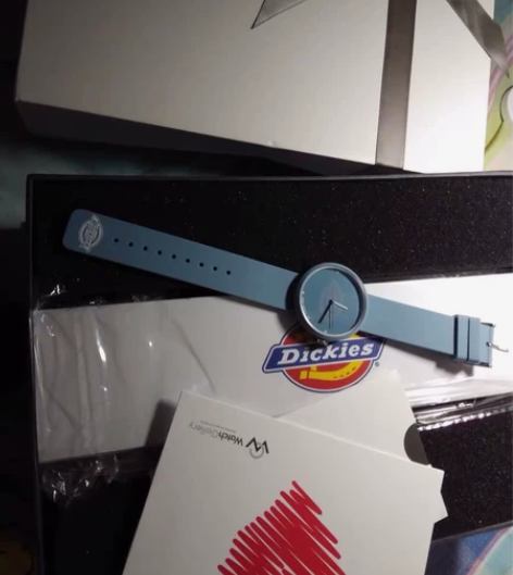 Dickies手表CL-103-1 雾霾蓝...