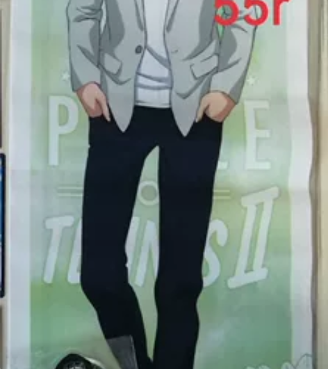 【退坑出谷】网球王子周边 真田弦一郎 具体...