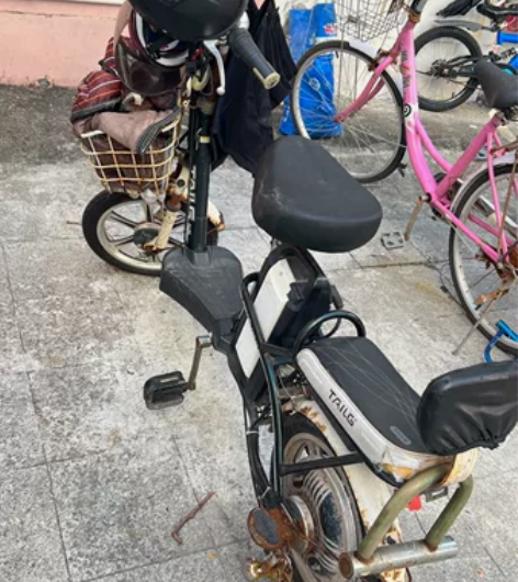 台铃电动车，电池不耐用，一直闲置，闲置前电...