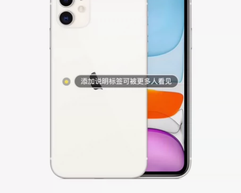 Apple/苹果 iPhone 11全网通...