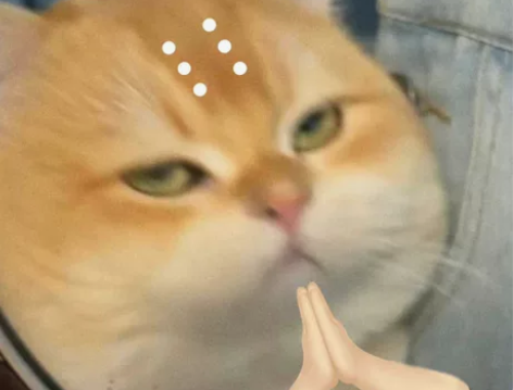 本人网络与新媒体专业，找一个会剪视频和音频...