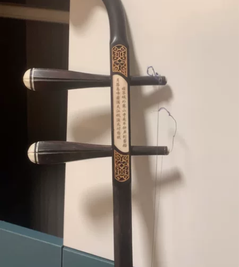 蛇皮 二胡 需要私信  没用过几次 有二胡...