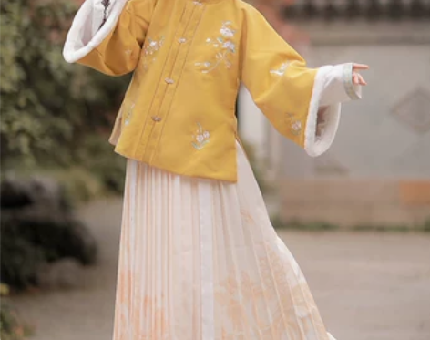 【年货价】汉服女中国风汉元素冬装明制古装国...