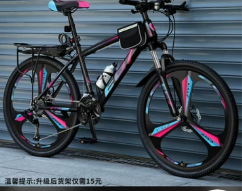 95新 只骑过一次 坐垫换过新的软的 60...