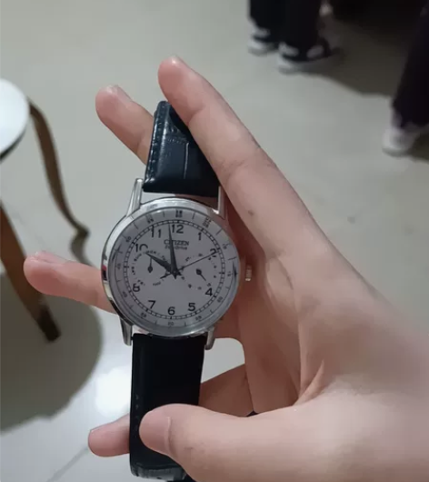 Citizen/西铁城小蓝针手表 毒买的 ...