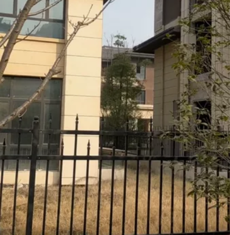 公园里一期别墅三层毛坯268平方  感兴趣...