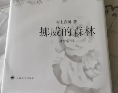 挪威的森林 位置在胜太路地铁站附近  感兴...
