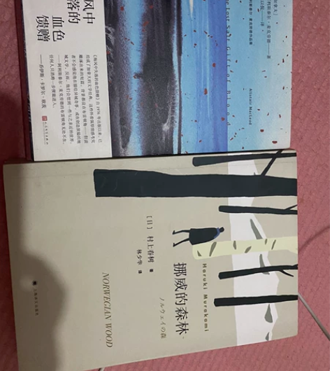 挪威的森林,海风中失落的血色馈赠,两本书几...