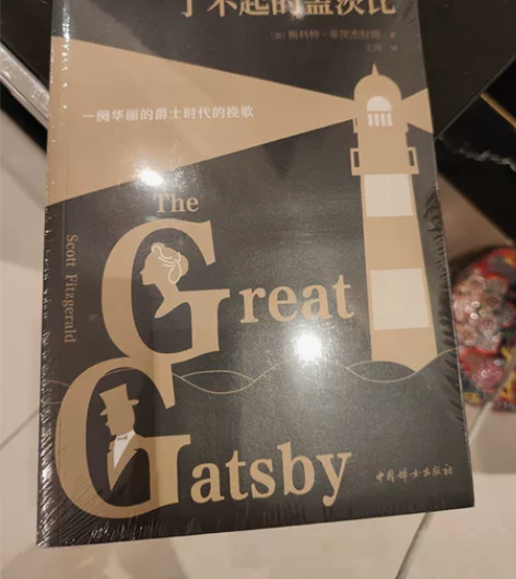 适合大人学生看的名著，了不起的盖茨比，小王...