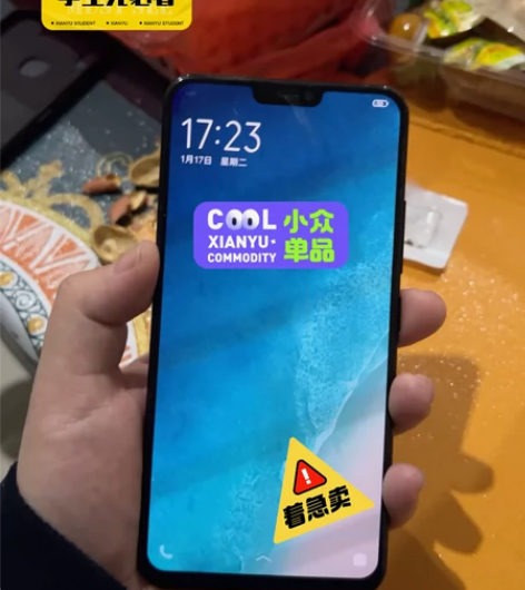 本人自用Vivo X二一手机，就只有屏幕有...