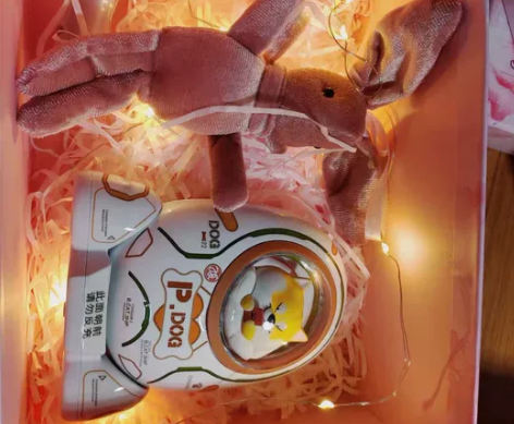 黄油猫超大容量快充迷你充电宝,柴犬款,礼盒...