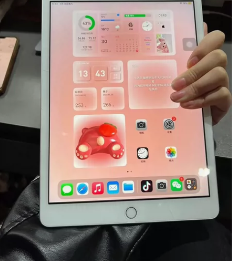 惨痛忍辱出，带笔低价卖二手平板iPad20...
