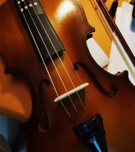 个人急出，有发票可以提供，入手的4/4小提...