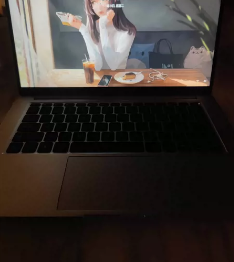 小米笔记本14  因特尔i5十代，2g独立...