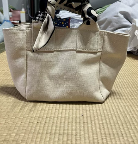 初春迷你包包小众设计迷你手提包ins风帆布...