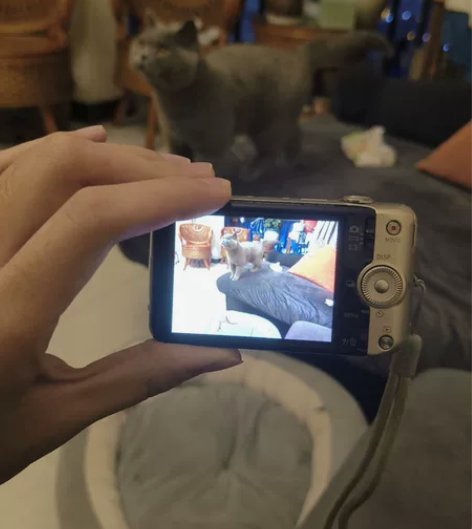 カメラ Sony 相机 DSC-WX50 ...