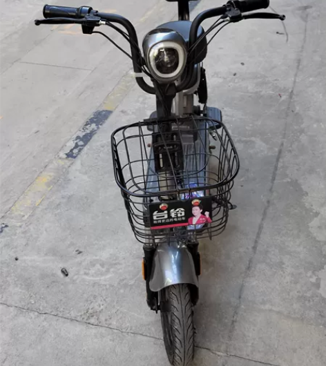 出部台铃牌2021年8月的车，刚换的电池 ...