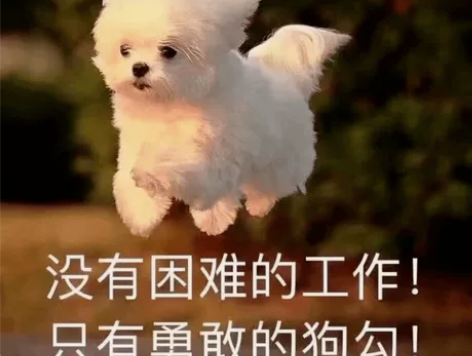 四川师范大学中国古代文学考研，自己总结的笔...