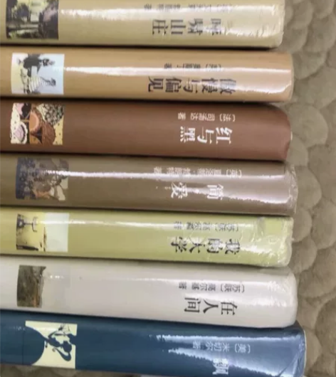 【预售】全八册小说，经典小说，巴黎圣母院和...
