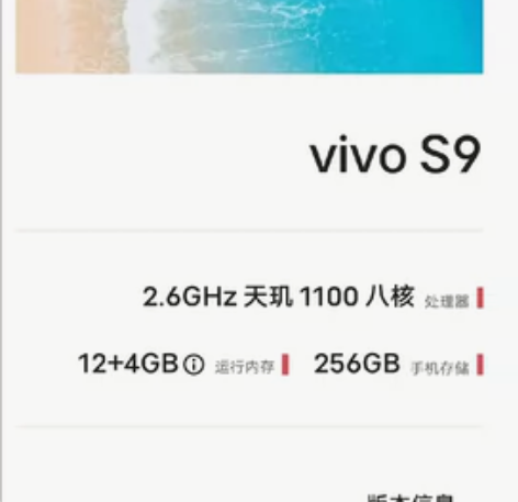VIVO手机，S9，12+4运存，256内...