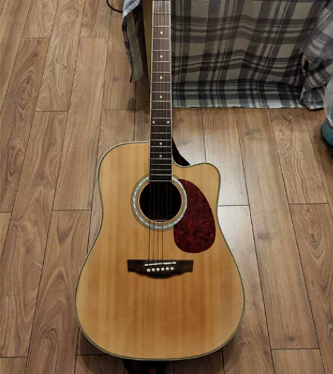 星辰吉他DG220C，买了一直没咋弹，低价...