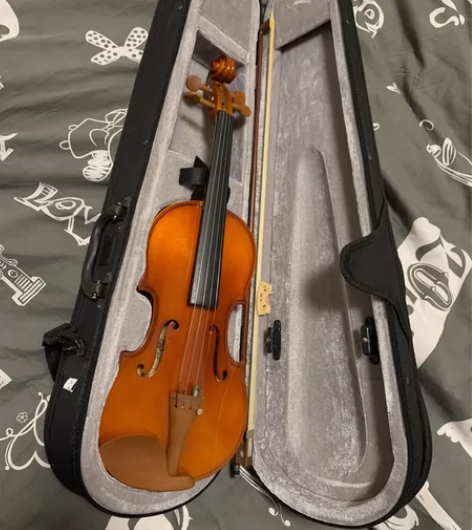 龙吟小提琴二分之一 感兴趣的话点“我想要”...