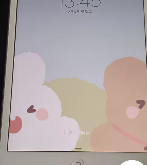 出iPad mini1 16G 平时追追剧...